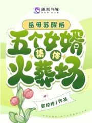 五个女婿集体火葬场免费阅读