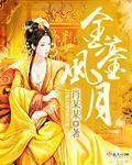 金銮风月txt