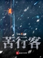 天王行踪电视剧
