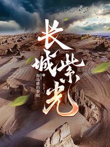 紫光长存(上海)集成电路有限公司