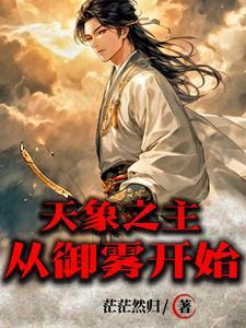 天象境是什么里面的