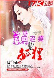 我的老婆是狐狸精严锋