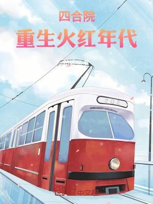 四合院重生火红年代 TXT