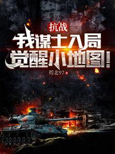 抗战我谋士入局觉醒小地图319章