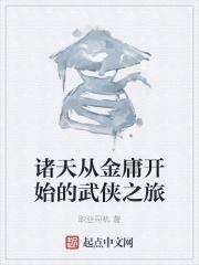 诸天从金庸开始的武侠之旅 职业司机