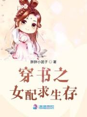 穿书之女配生存指南全文
