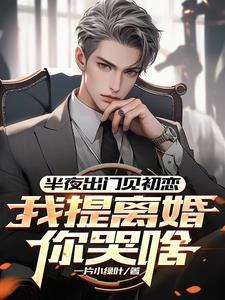 我提离婚你哭啥无删减