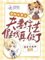 夫妻类综艺节目