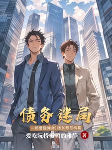 债务危机中文版
