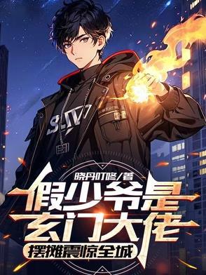 假少爷传奇