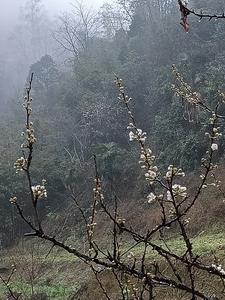 青春和选择