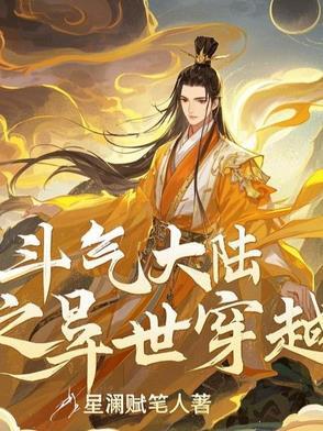 穿越斗气大陆反套系统