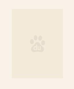 真千金的掉马日常又名