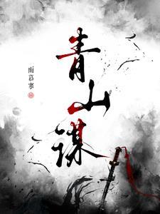 青山谋略1-30集全免费