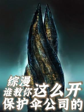 综英美保护伞公司