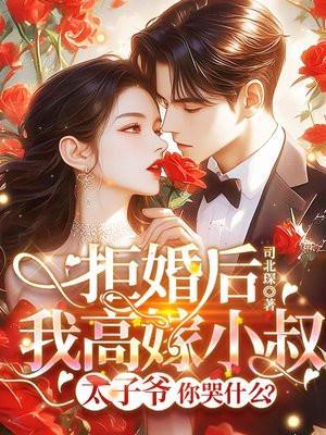 转嫁京圈大佬后前任悔不当初苏婉禾司北琛