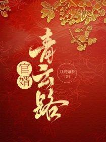 李玉洁王大勇官婿青云路