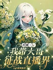 主角叫宋以茉祁司宴小说