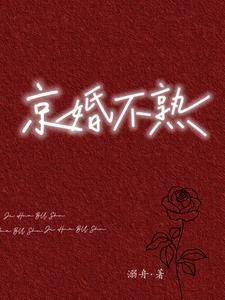 主角叫周瑾序江倪的小说