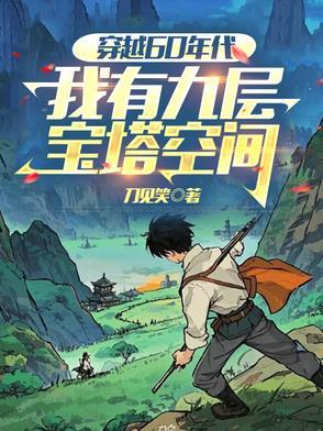 张小龙穿越60年代的小说