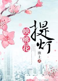 提灯映桃花by淮上笔趣阁小说免费阅读