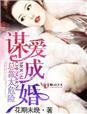 谋爱成婚总裁耍无赖