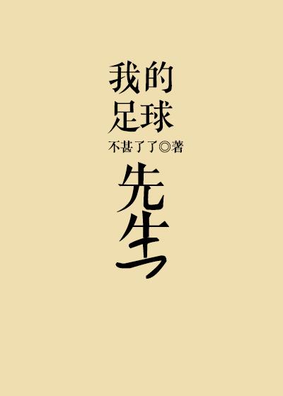 我的足球先生讲的什么