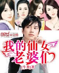 我的仙女老婆们成了仇家的奴隶