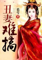 丑妻难搞慕容狄