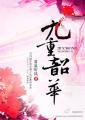 九重韶华看泉听风在线阅读