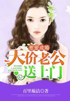 惹上天价老公免费阅读