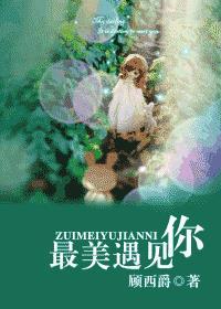 最美遇见你的简介