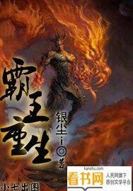 霸王重生动画线看
