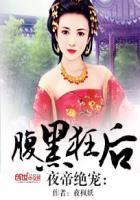 夜帝太腹黑全本免费阅读