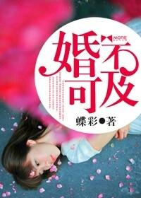 婚不可挡txt