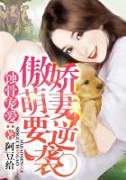 蚀骨娇宠