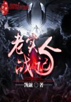 老实人 mp4