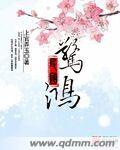 民国惊鸿 聚合中文网