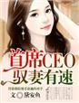 首席驭灵师简介