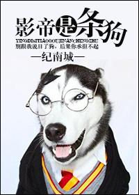 影帝狗狗