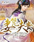 妻凭夫贵星际完整版