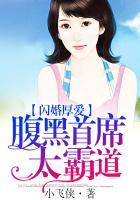 闪婚厚爱首席老公太腹黑免费阅读