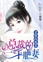 总裁的二婚罪妻免费阅读