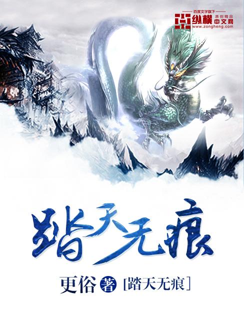 踏天无痕txt全本