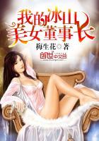 我的冰山美女董事长梅
