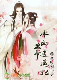 冰山王爷的现代妃