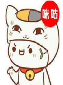 大司法证含金量
