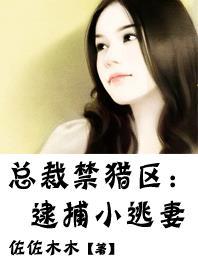 总裁禁区txt