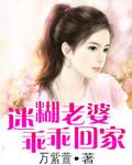 迷糊老婆乖乖回家免费阅读