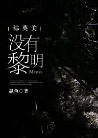 没有黎明的世界